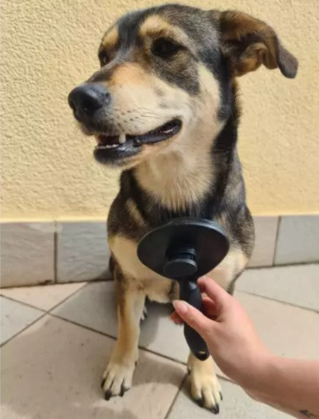 Cepillo de pelo para animales, autolimpiante