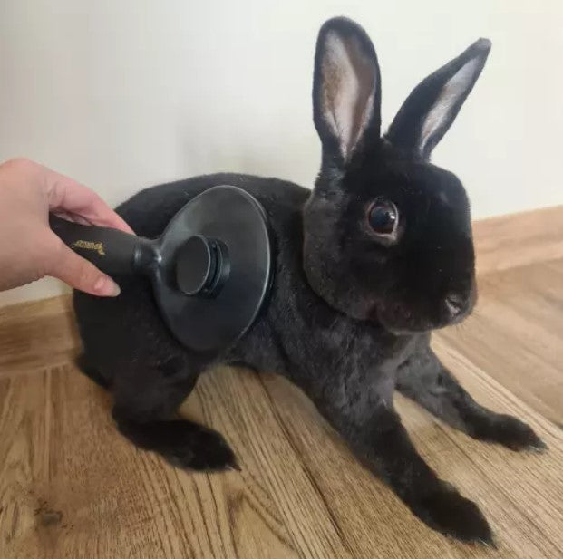 Cepillo de pelo para animales, autolimpiante