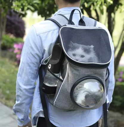 Botella de agua con cuenco para animales, 3 en 1