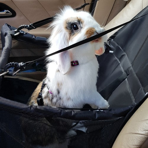 Silla de coche, asiento transportador segura para mascotas