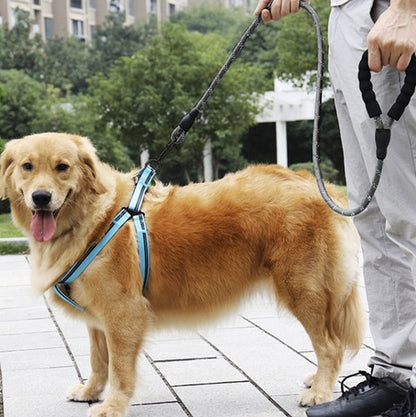 Correa reflectante de 5 metros para perro grande