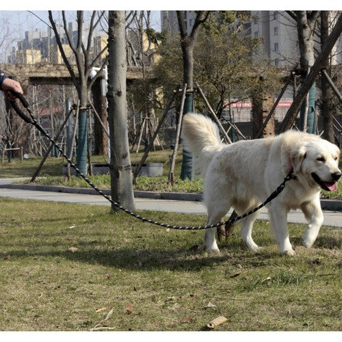 Correa reflectante de 5 metros para perro grande